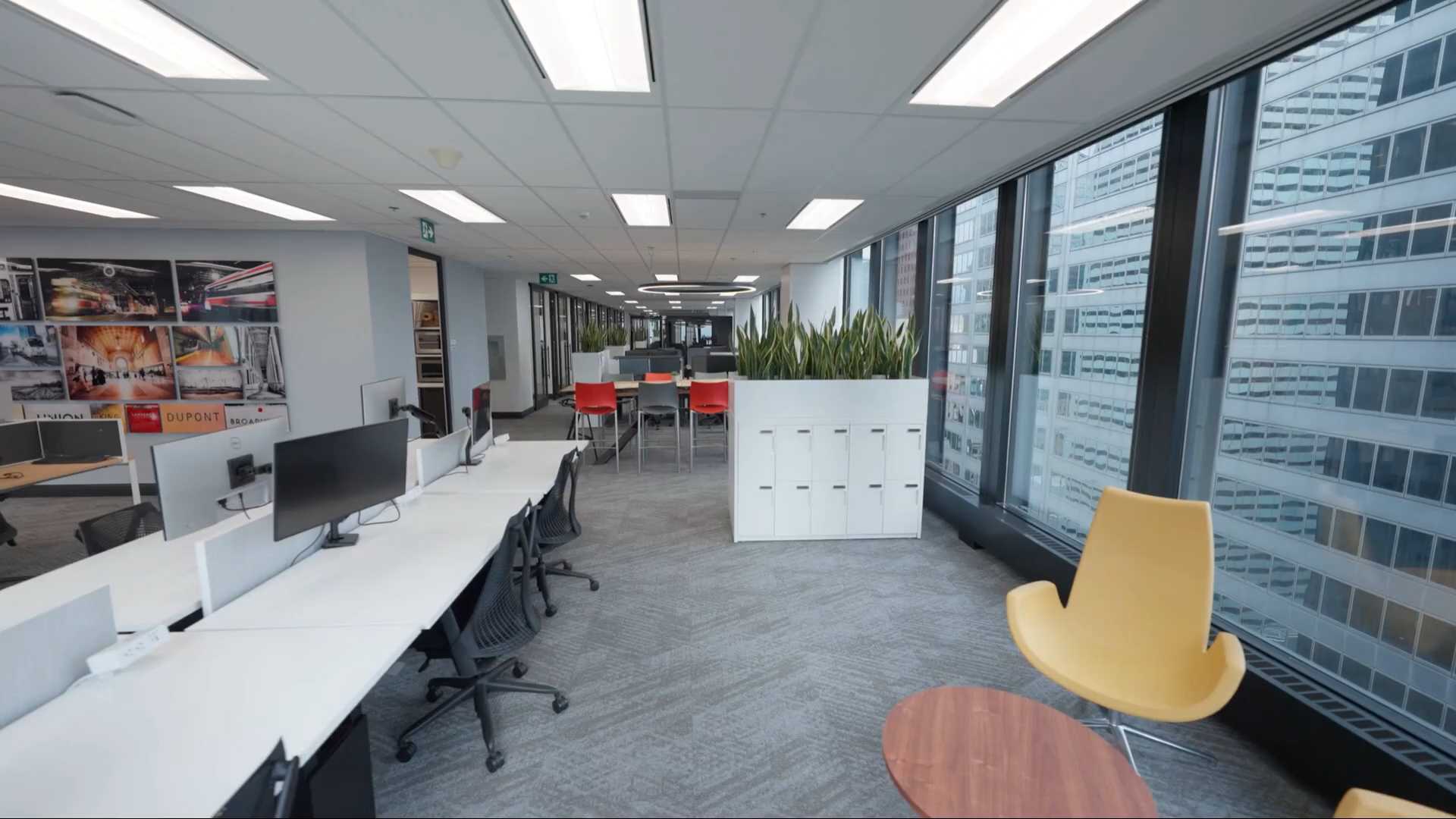 Avison Young Montreal Office 2024